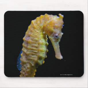 Tapis De Souris taillong shapeprehensile de swimmerequine droit