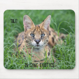 Tapis De Souris Taji -