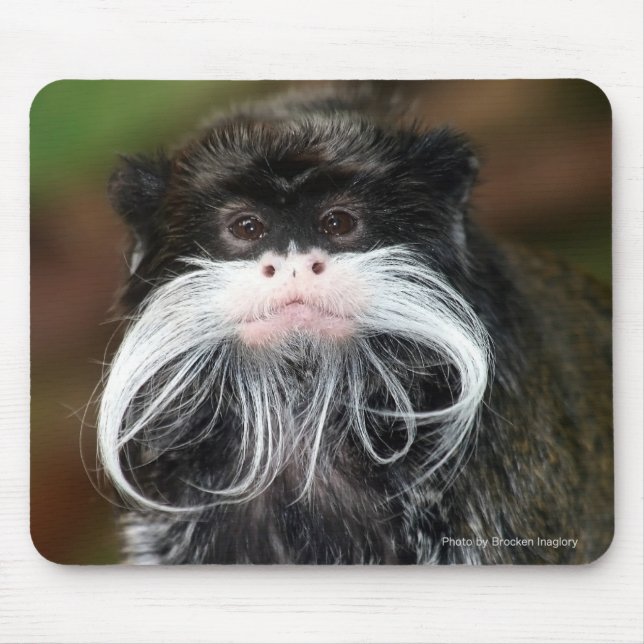 Tapis De Souris Tamarin (Devant)