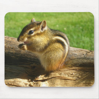 Tapis De Souris Tamia mignonne