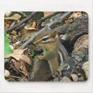 Tapis De Souris Tamia orientale - striatus de Tamias