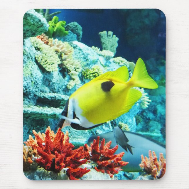 Tapis De Souris Tang (Devant)