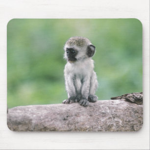 Tapis De Souris Tanzanie, cratère de Ngorogoro. Gros plan de la fa
