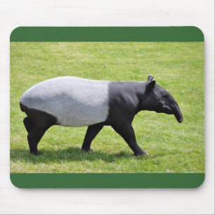 Tapis De Souris Tapir malais marchant sur l'herbe