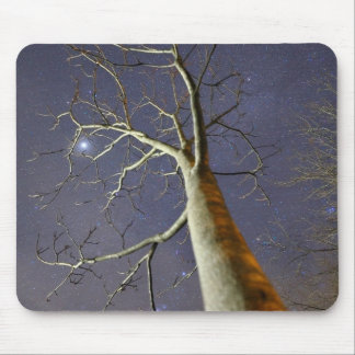Tapis De Souris Tapis_de_souris_Arbre_étoilé