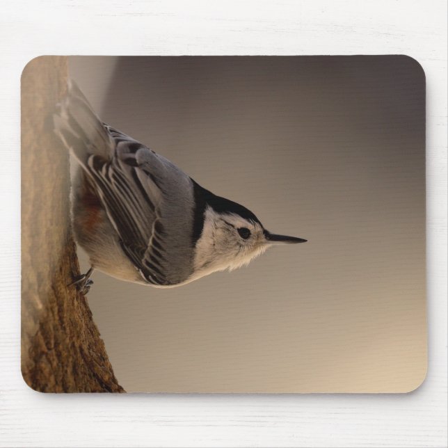 Tapis De Souris Tapis_de_souris_Sittelle (Devant)