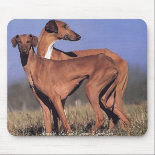 Tapis De Souris TAPIS SOURIS Deux Azawakh
