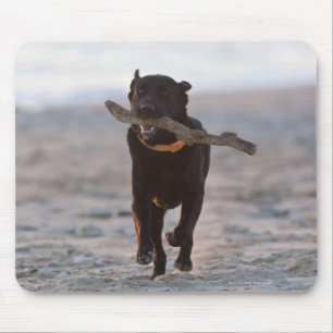 Tapis De Souris Tarifa, Cadix, Espagne