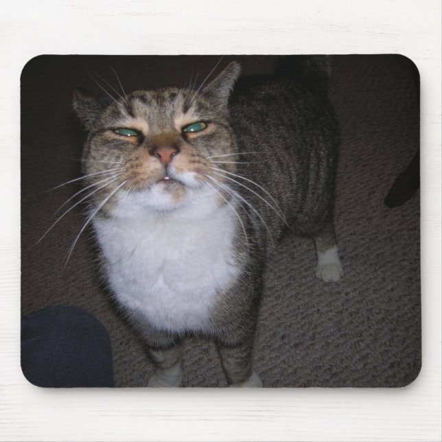 Tapis De Souris Tarna (Devant)