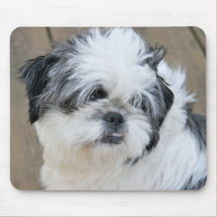 Tapis De Souris tarte de cutie