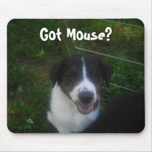 Tapis De Souris T'as de la souris ?