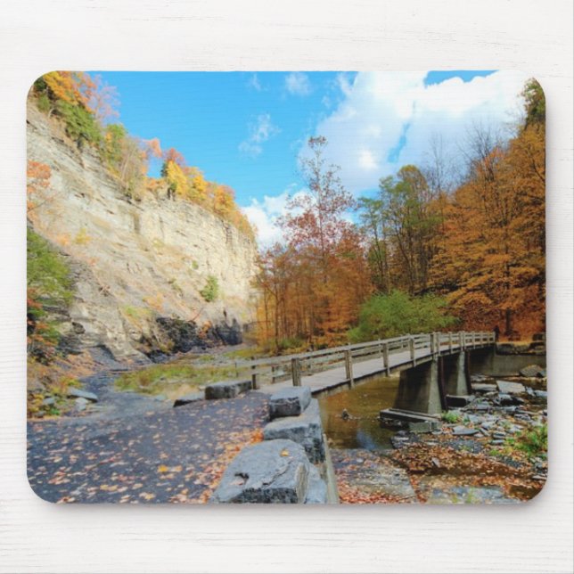 Tapis De Souris Taughannock tombe parc d'état (Devant)