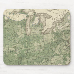 Tapis De Souris Taux de natalité US, statistique US Lithograph