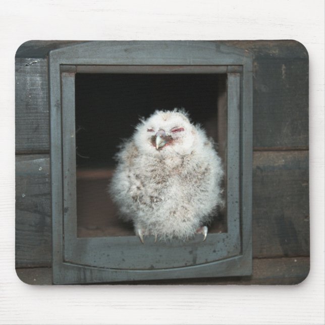 Tapis De Souris Tawny Owl (Devant)