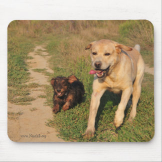 Tapis De Souris Teckel et Labrador heureux courants