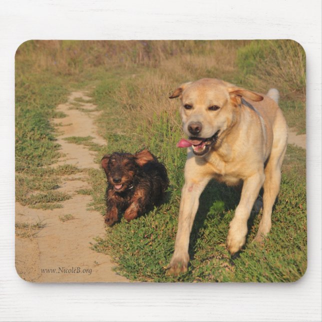 Tapis De Souris Teckel et Labrador heureux courants (Devant)