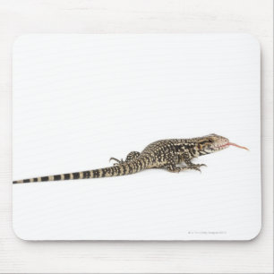 Tapis De Souris Tegu bleu - merianae de Tupinambis