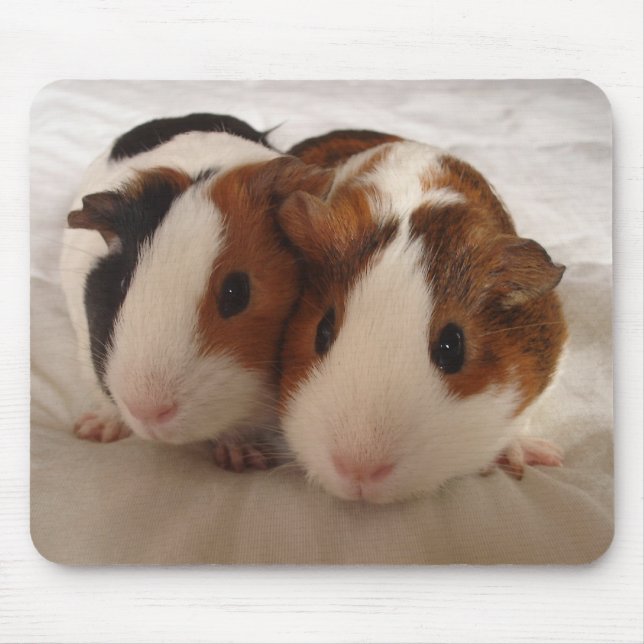 Tapis De Souris Telmha et Louise (Devant)