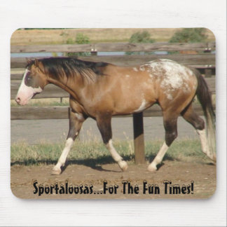Tapis De Souris Temps d'amusement de sportaloosa d'Appaloosa