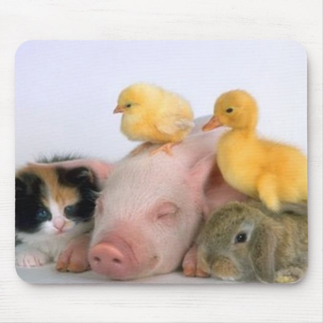 Tapis De Souris Temps de petit somme pour les animaux (Devant)