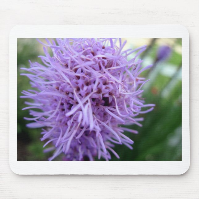 Tapis De Souris Tentacle Spider Violet Flower (Devant)