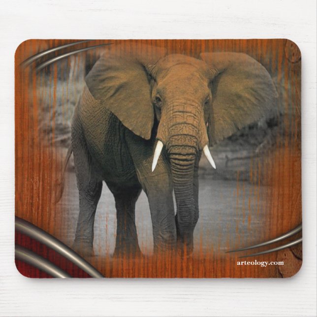 TAPIS DE SOURIS TERRE GRANDE (Devant)