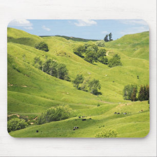 Tapis De Souris Terres agricoles près de Gisborne, Nouvelle-Zéland