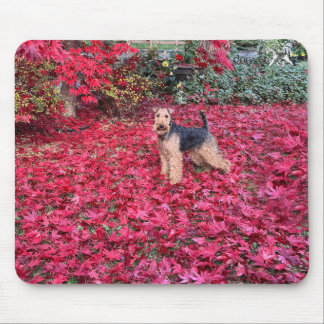 Tapis de souris Terrier Gallois