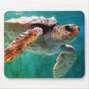 Tapis De Souris Tête de bois #2 Mousepad