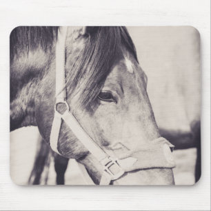 Tapis De Souris Tête de cheval 009