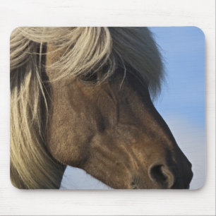 Tapis De Souris Tête de cheval islandais, Islande