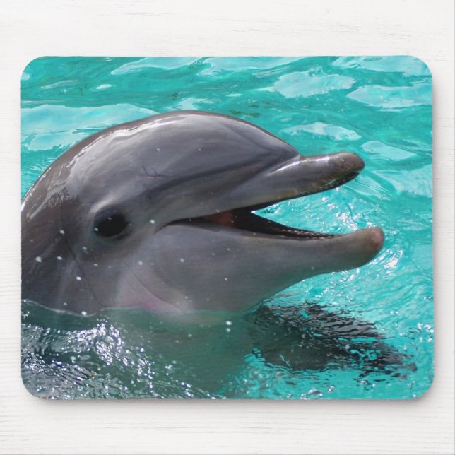 Tapis De Souris Tête de dauphin dans l'eau bleu vert (Devant)