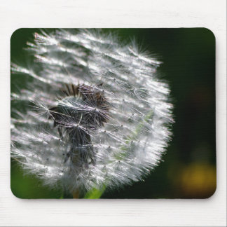 Tapis De Souris Tête de graines de Dandelion - Mousepad