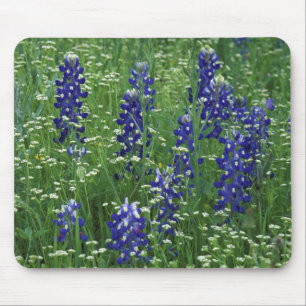 Tapis De Souris Texas, lac Buchanan. Bleuet du Texas et sauvage