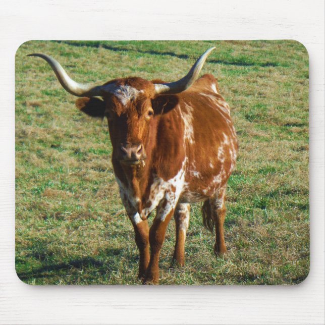 Tapis De Souris Texas Longhorn Cattle Cow Photo Russe (Devant)