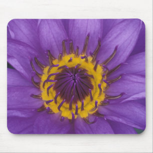 Tapis De Souris Thaïlande, Bangkok, Lotus violet et jaune