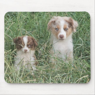 Tapis De Souris The Cuteness Never Stops