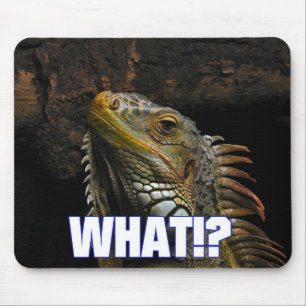 Tapis De Souris The What!? Iguana