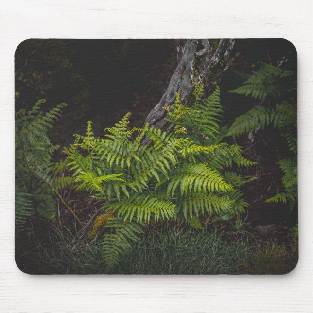 Tapis De Souris Thème de nature vert sombre avec fougères (Devant)