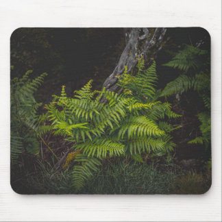 Tapis De Souris Thème de nature verte lunatique avec fougères