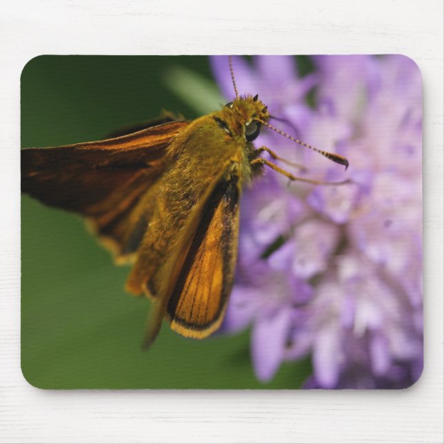 Tapis De Souris Thymelicus lineola (Devant)