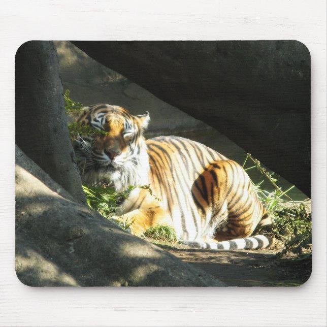 Tapis De Souris Tiger Catnap (Devant)