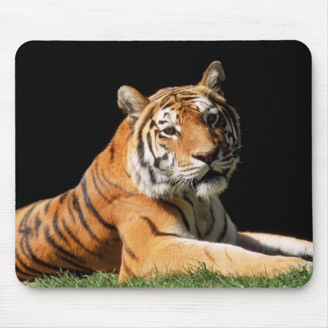 Tapis De Souris Tiger Closeup (Devant)