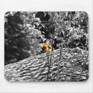 Tapis de souris Tiger Peek-a-boo