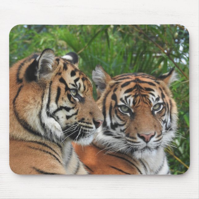 Tapis De Souris Tigers de Sumatra (Devant)