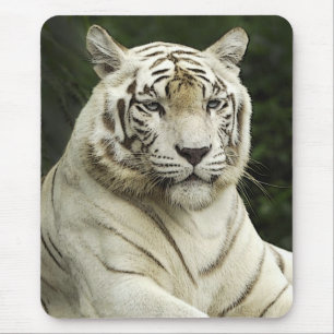 Tapis De Souris tigre