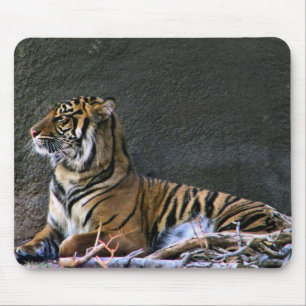 Tapis De Souris Tigre