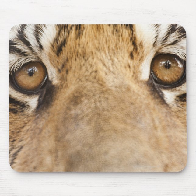 Tapis De Souris Tigre (Devant)
