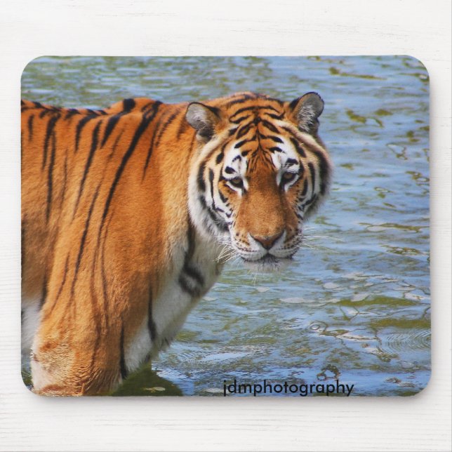 Tapis De Souris Tigre (Devant)