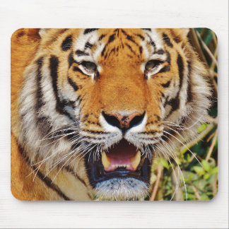 Tapis De Souris Tigre